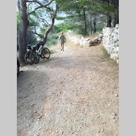 Apartman Nela Brela Dış mekan fotoğraf